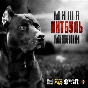 Миша Маваши — Московский озорной гуляка