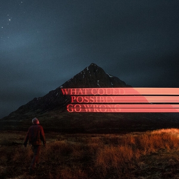 «What Could Possibly Go Wrong» — альбом Dominic Fike