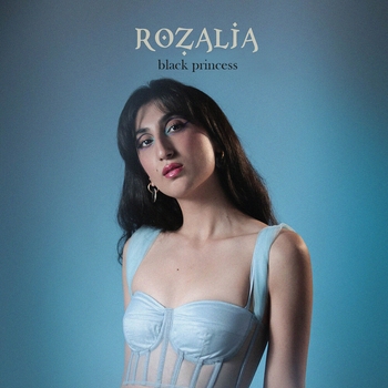 Слушать «Собака писала» — Rozalia and Джарахов Обложка «Собака писала» — Rozalia and Джарахов