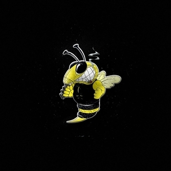 Слушать «Бесстыжие глаза (Хулиганы 2023)» — The Iron Bees Обложка «Бесстыжие глаза (Хулиганы 2023)» — The Iron Bees
