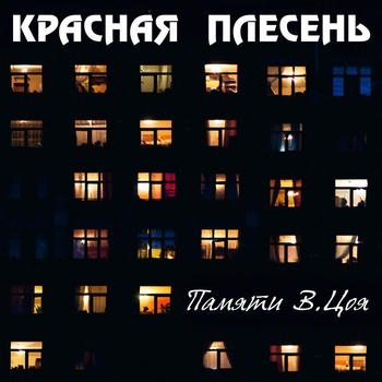 Обложка «А может это сон (New Version) (Металлист Балалайкин 1993)» — Красная плесень