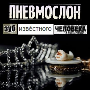 Обложка «Меня это не страшит» — Пневмослон