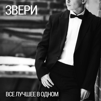 Обложка «Снегопад (Когда мы вместе, никто не круче 2006)» — Звери