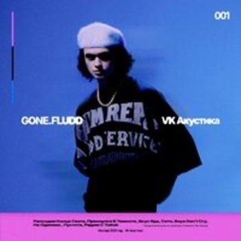 Gone.Fludd — VK Акустика