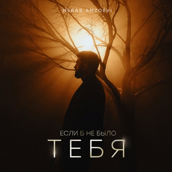 «Если б не было тебя» — альбом Merab Amzoevi