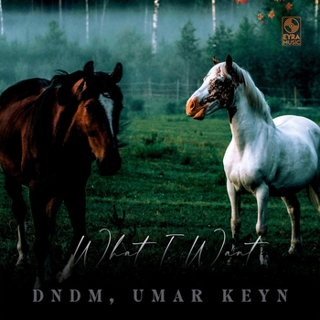 Обложка «What I Want» — Umar Keyn, Dndm