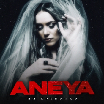 Aneya — По крупицам (2024)