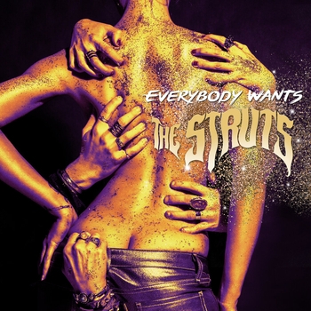 Обложка «Could Have Been Me» — The Struts
