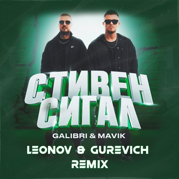 Обложка «Стивен Сигал» — Galibri & Mavik