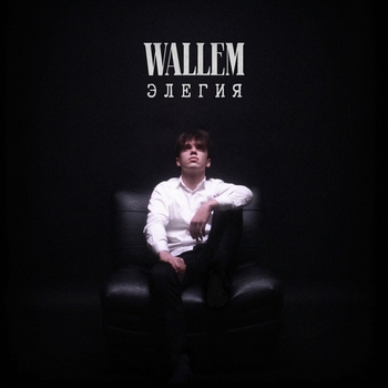 Обложка «Осенний листопад (feat. Al'mein)» — Wallem feat Al'mein