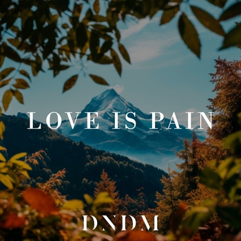 Обложка «Love Is Pain» — Dndm