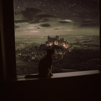 «dreamland» — альбом Money Flip