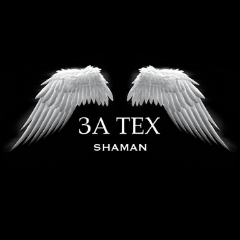 Shaman — За тех