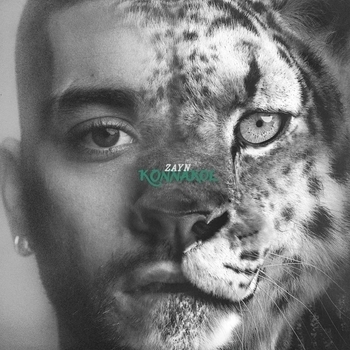 Обложка «Die For Me» — Zayn