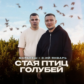 Обложка «Стая птиц голубей» — 3-ий Январь, Маракеш
