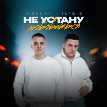 Обложка «Не устану любоваться» — Il'giz, Wellay
