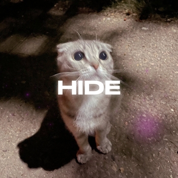 Слушать «Hide (2024)» — Rendow feat Isvnbitov Обложка «Hide (2024)» — Rendow feat Isvnbitov