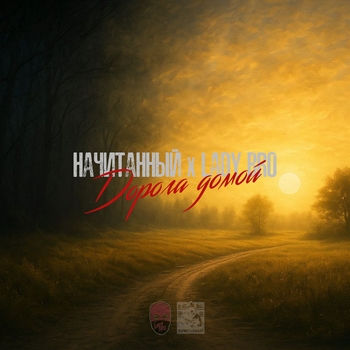 Обложка «Дорога домой» — Начитанный, Lady Bro