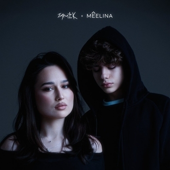 Tamik, mêelina — 13 причин