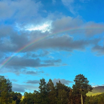 Mike Posner — Crazy Rainbow