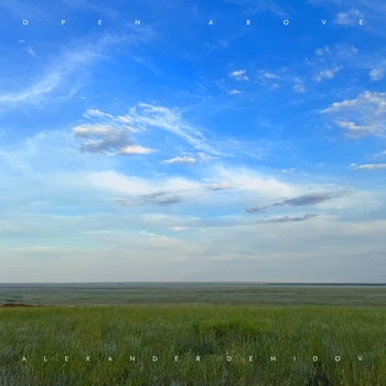 Alexander Demidov — Beyond undulations