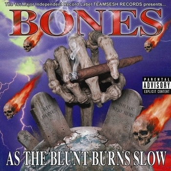 BONES — AsTheBluntBurnsSlow