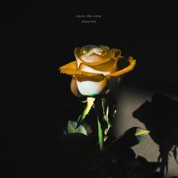 Обложка «Flourish» — Dark Life Note