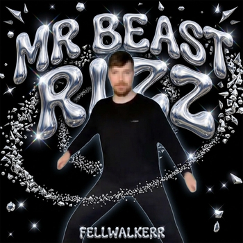Перейти к альбому «MR BEAST RIZZ (MISTER BEAST RIZZ)» «MR BEAST RIZZ (MISTER BEAST RIZZ)» — альбом FELLWALKERR
