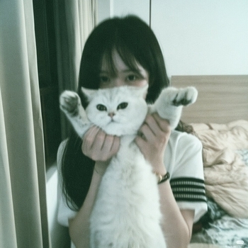 Обложка «the days still feel like you» — Sinalyx