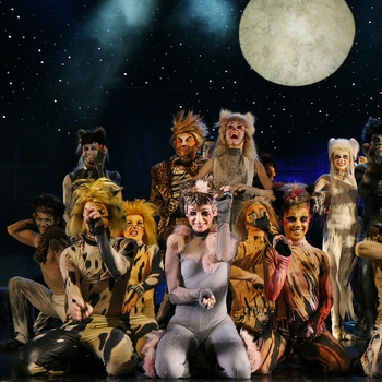 Обложка сборника «Мюзикл "Cats"»