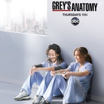Из сериала "Анатомия страсти" / "Grey's Anatomy" (1-17 сезон)