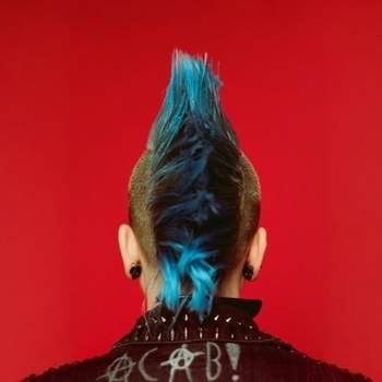 Музыкальный жанр «Punk Rock»