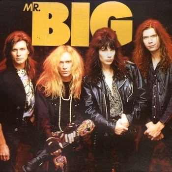 Обложка «Wild World» — Mr. Big