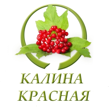 Оформление подборки «Калина красная (Червона калина)»