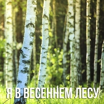 Открыть музыку из «Я в весеннем лесу» Оформление подборки «Я в весеннем лесу»
