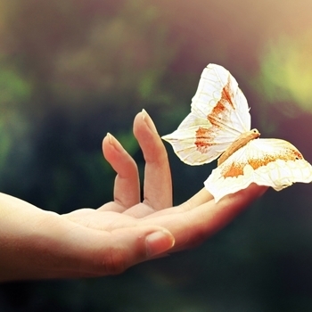 Butterfly (Come My Lady)