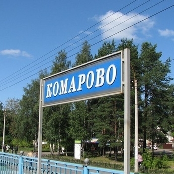 Оформление подборки «Комарово»