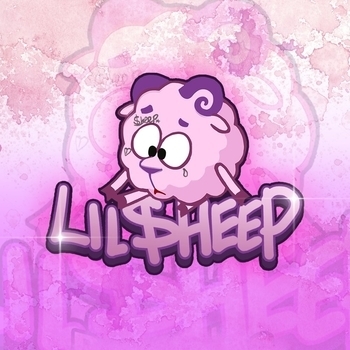 Слушать «Cache» — Lil Sheep Обложка «Cache» — Lil Sheep