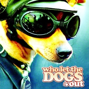 Обложка сборника «Who Let The Dogs Out»