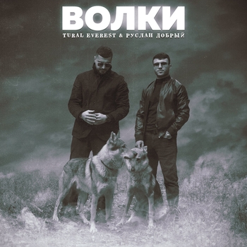 Обложка «Волки» — Руслан Добрый, Tural Everest
