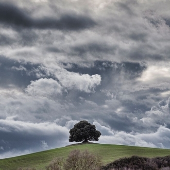 Cloudy Day
