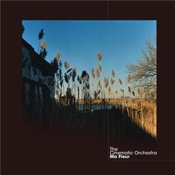 The Cinematic Orchestra — Hyena