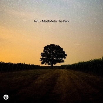 Ave — Meet Me In The Dark